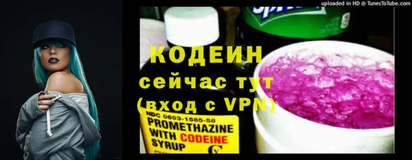 ПСИЛОЦИБИНОВЫЕ ГРИБЫ Арсеньев