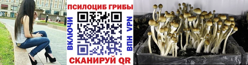 Галлюциногенные грибы Cubensis  где можно купить наркотик  Игра 